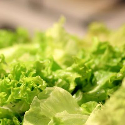 Verduras